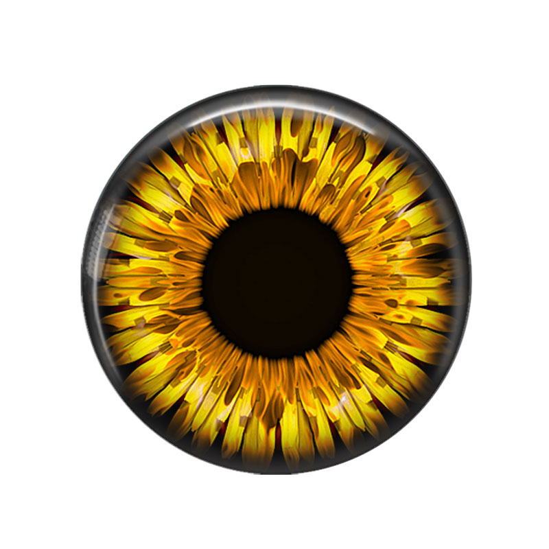 Париж Игрушки Глаза Дракон Кош – обзор и цена Jewelry Making Paris